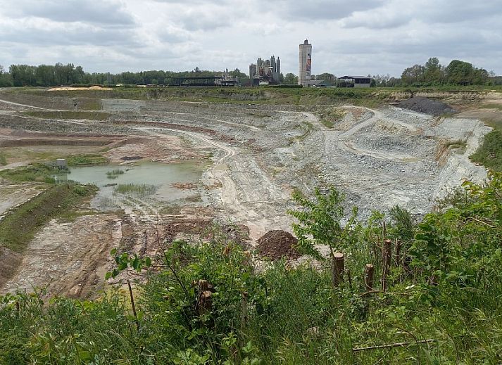 Frisse zonnebloemen in de woonkamer van Vakantiewoning Hogeweg, Winterswijk, Achterhoek, Gelderland.
