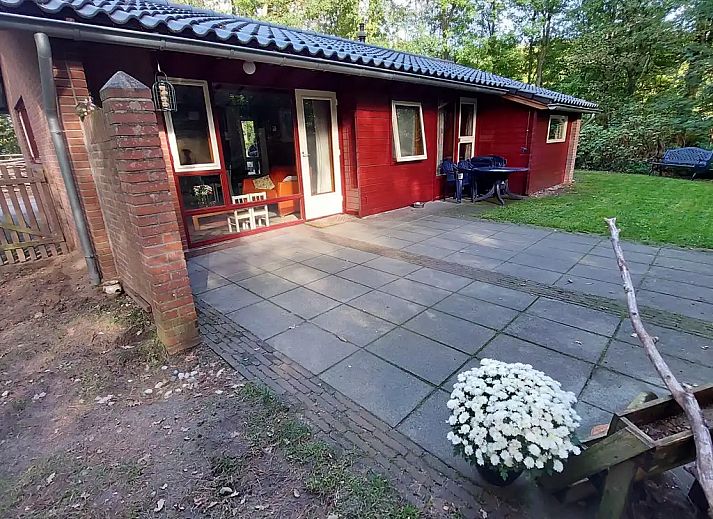 Guest house 2901106 - Bungalow Achterhoek - Bospad-Winterswijk