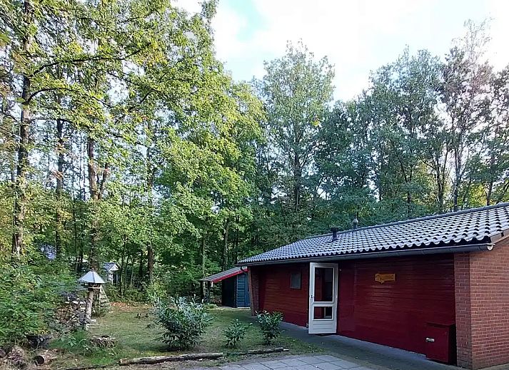 Guest house 2901106 - Bungalow Achterhoek - Bospad-Winterswijk