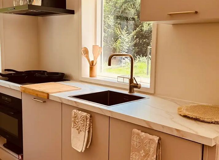 Verblijf 2901111 - Vakantiewoning Achterhoek - Heerlijk boshuis Winterswijk