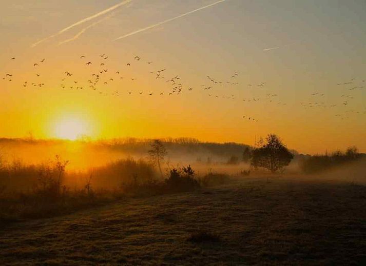Ferienhaus DG312 in Winterswijk, Gelderland, mit gruener Umgebung und traditioneller Architektur.