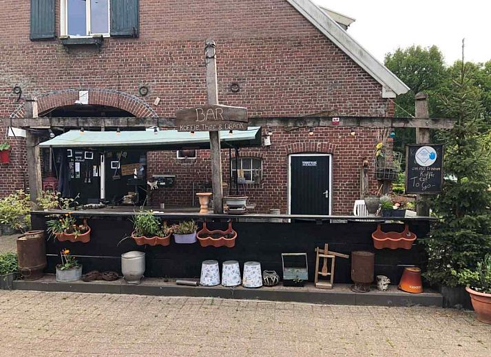 Natuerlicher Lebensraum in der Umgebung der DG312 in Winterswijk mit Wildfuchs im bluehenden Feld.