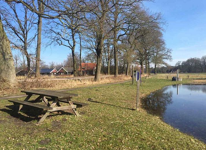 Ruhiger Garten am Ferienhaus DG312 in Winterswijk, Achterhoek mit schattigen Ecken.