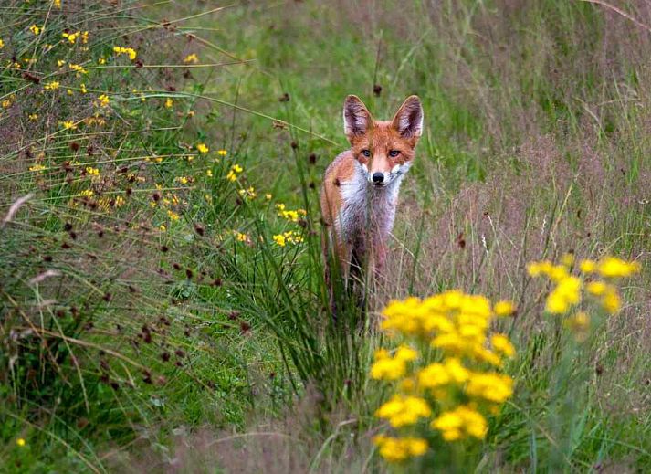 Helles Wohnzimmer des Ferienhauses DG312 in Winterswijk mit Blick auf den Garten.
