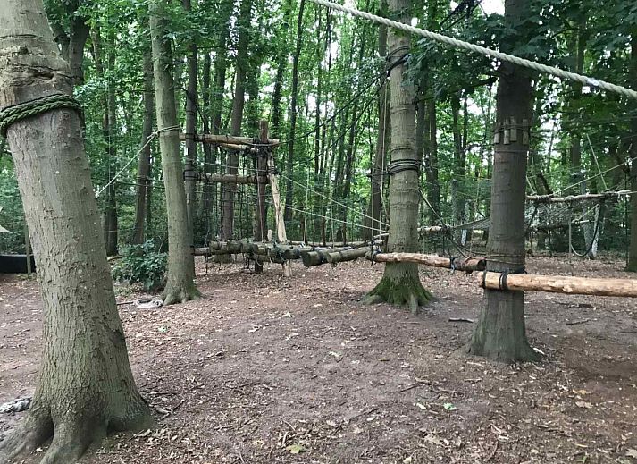 Guest house 290111 - Holiday property Achterhoek - DG778