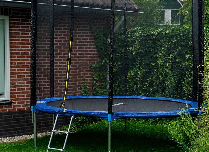 Guest house 290111 - Holiday property Achterhoek - DG778