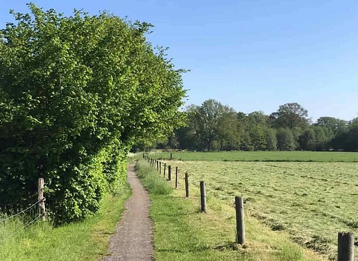 Guest house 290111 - Holiday property Achterhoek - DG778