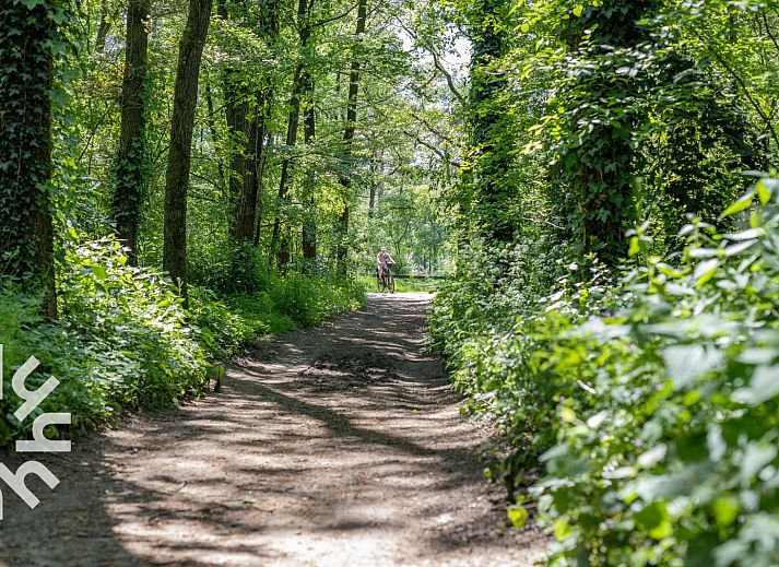 Moderne Kueche in DG238 Ferienhaus Winterswijk Achterhoek mit Luxusgeraeten.