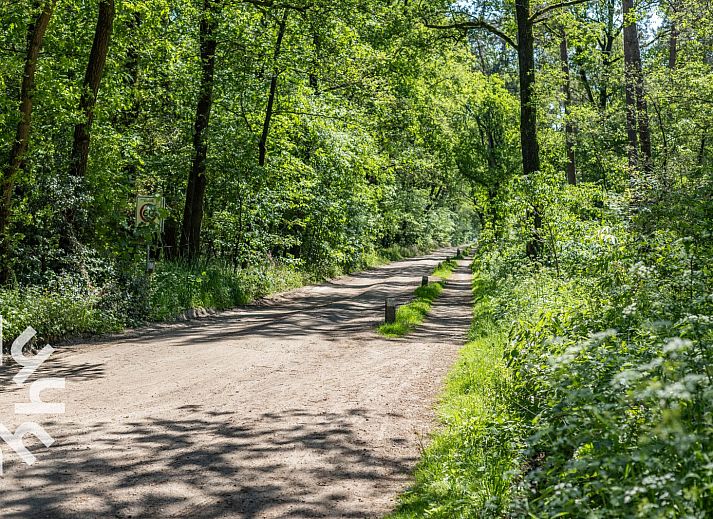Gemuetliches Schlafzimmer in DG238 Ferienhaus Winterswijk Achterhoek mit Holzausstattung.