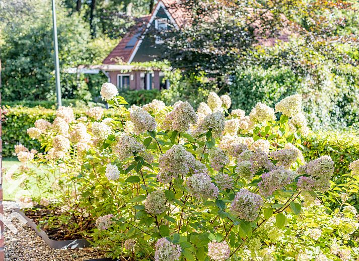 Unterkunft 2901127 - Ferienhaus Achterhoek - DG993