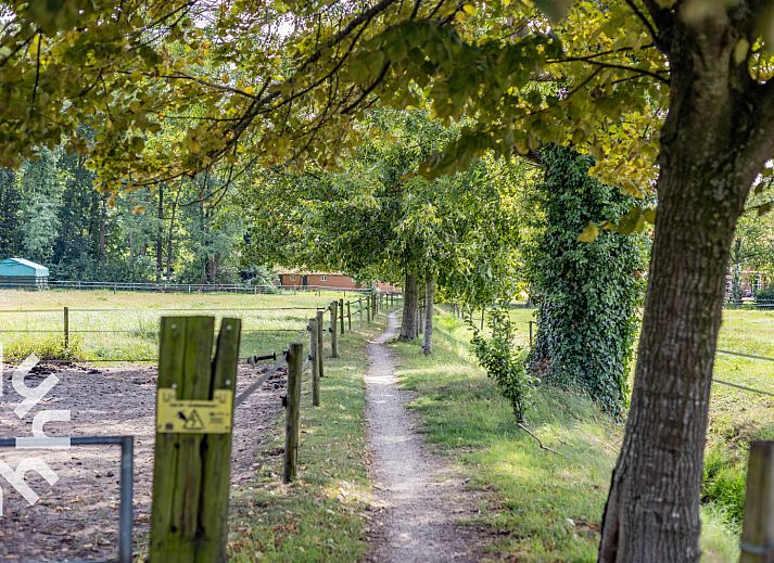 Guest house 2901134 - Holiday property Achterhoek - DG1694