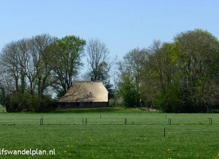 Guest house 2901140 - Holiday property Achterhoek - De Baander