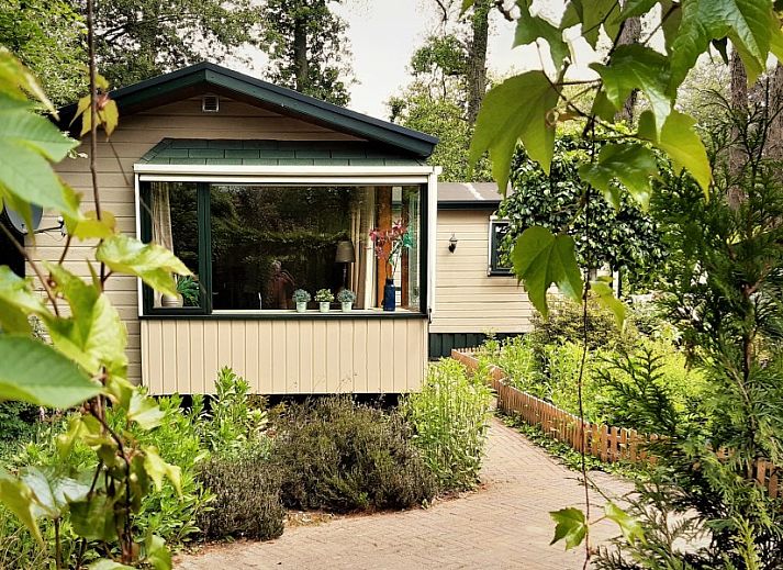 Ontdek Boshuisje 'de Wielewaal' in Winterswijk, een knus vakantiehuis omringd door weelderige natuur in de Achterhoek, Gelderland.