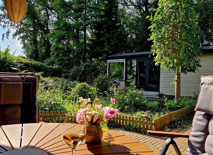 Gezellige woonkamer van Boshuisje 'de Wielewaal' in Winterswijk, Achterhoek. Vakantiehuis met comfortabel interieur en tuinzicht.