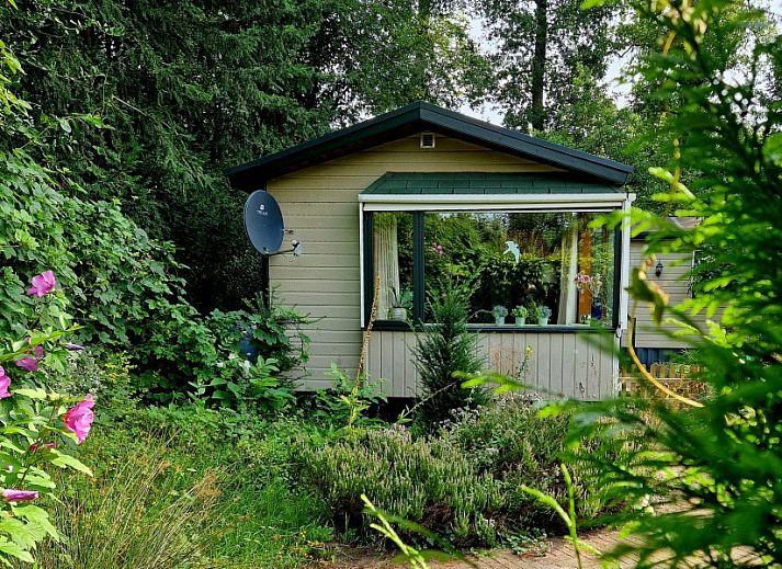Gezellige woonkamer van Boshuisje 'de Wielewaal' in Winterswijk, Achterhoek. Vakantiehuis met comfortabel interieur en tuinzicht.
