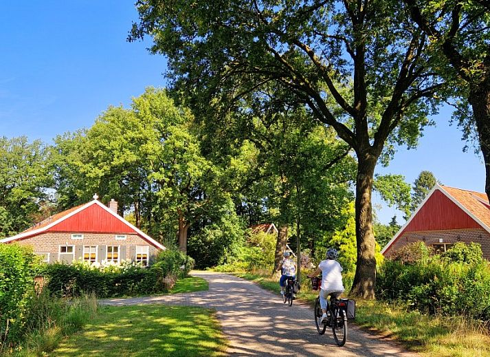 Sfeervolle slaapkamer in Boshuisje 'de Wielewaal', een vakantiehuis in Winterswijk, Achterhoek, Gelderland, met comfortabel tweepersoonsbed.