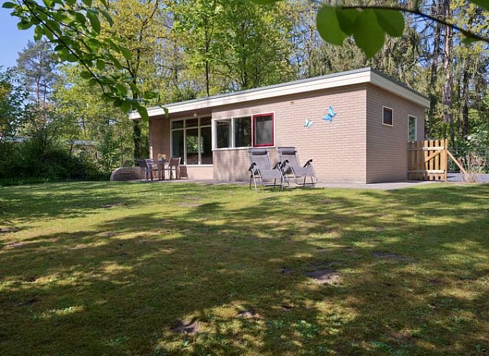 Vakantiehuisje in Winterswijk, gelegen in de Achterhoek, omringd door groene natuur.