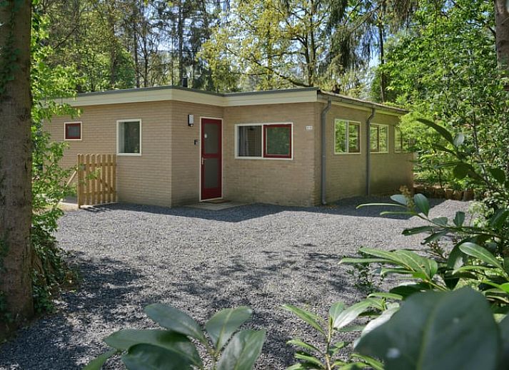 Vakantiehuisje in Winterswijk, gelegen in de Achterhoek, omringd door groene natuur.