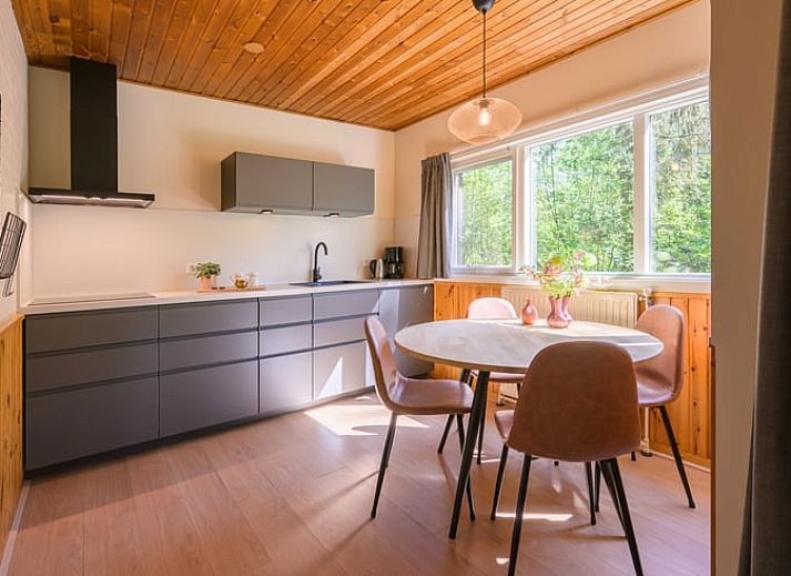 Terras van Vakantiehuisje in Winterswijk, perfect voor ontspannen in de Achterhoek.