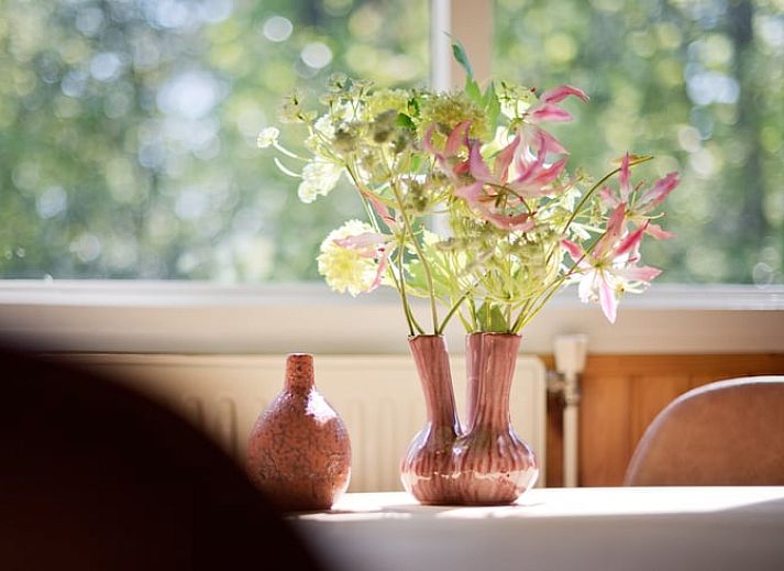 Terras van Vakantiehuisje in Winterswijk, perfect voor ontspannen in de Achterhoek.