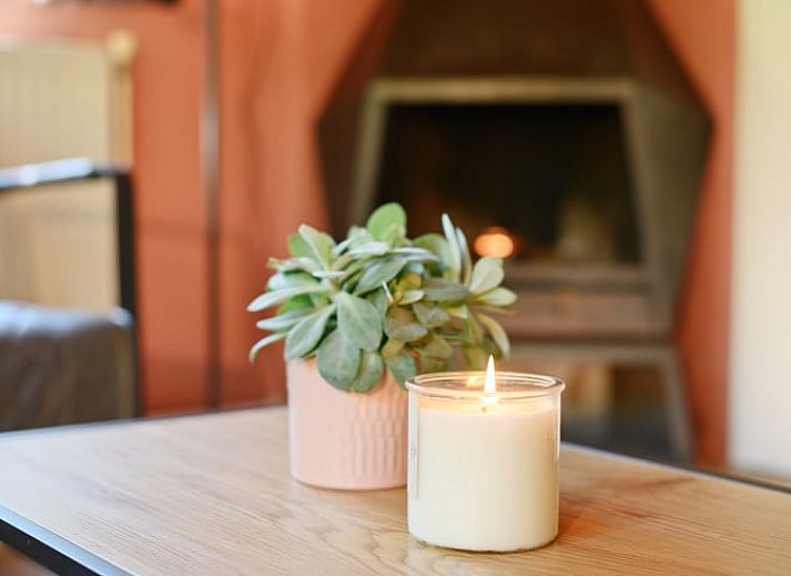 Hond genietend van de tuin bij Vakantiehuisje in Winterswijk, Achterhoek, Gelderland.