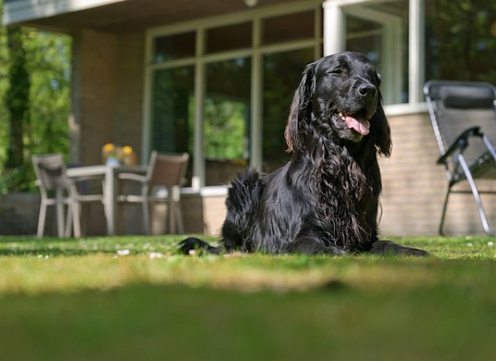 Gezellig gedekte tafel op het terras van Vakantiehuisje in Winterswijk, Achterhoek.