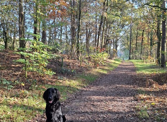 Ingang van Vakantiehuisje in Winterswijk, midden in de groene Achterhoek.