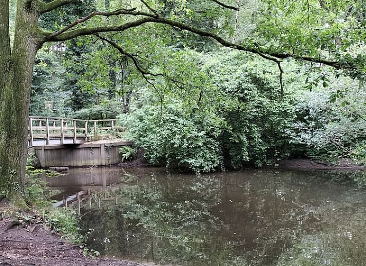 Moderne keuken in Vakantiehuisje in Winterswijk, met uitzicht op de Achterhoekse natuur.