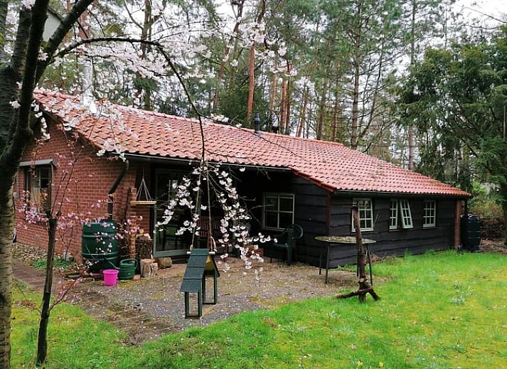 Verblijf 290135 • Vakantiewoning Achterhoek • Vakantiehuis in Winterswijk
