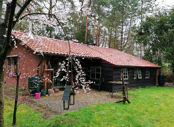 Verblijf 290135 • Vakantiewoning Achterhoek • Huisje in Winterswijk 