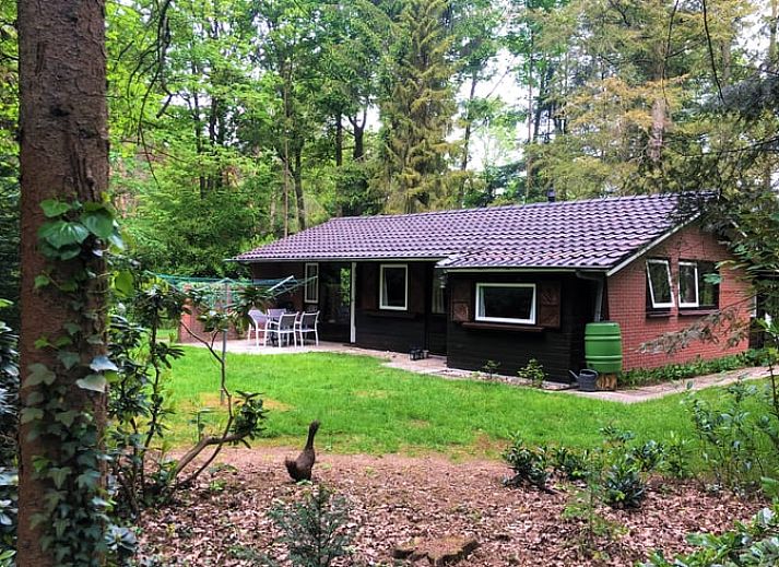 Guest house 290136 • Holiday property Achterhoek • Huisje in Winterswijk