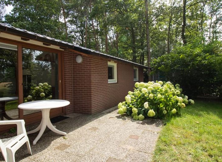 Guest house 290138 • Holiday property Achterhoek • Huisje in Winterswijk 