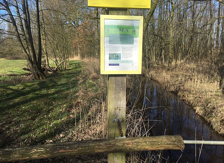 Unterkunft 290140 - Ferienhaus Achterhoek - Vakantiehuis Geräumiges Ferienhaus mitten im Wald