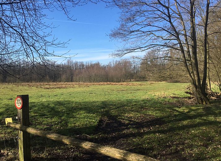 Unterkunft 290140 - Ferienhaus Achterhoek - Vakantiehuis Geräumiges Ferienhaus mitten im Wald