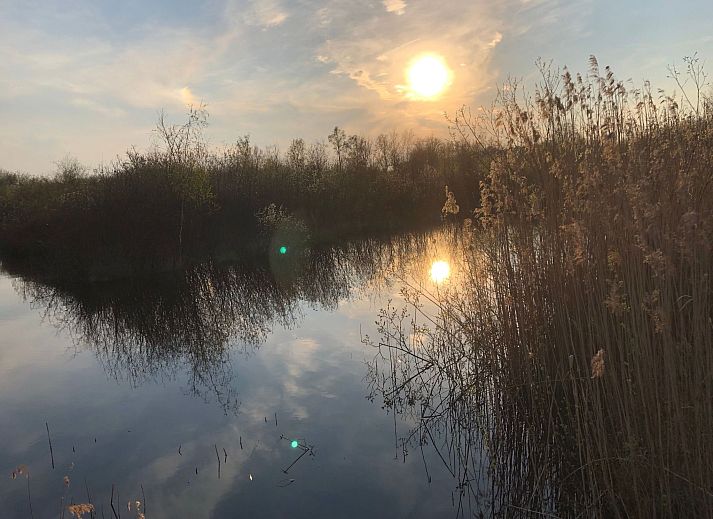 Unterkunft 290140 - Ferienhaus Achterhoek - Vakantiehuis Geräumiges Ferienhaus mitten im Wald