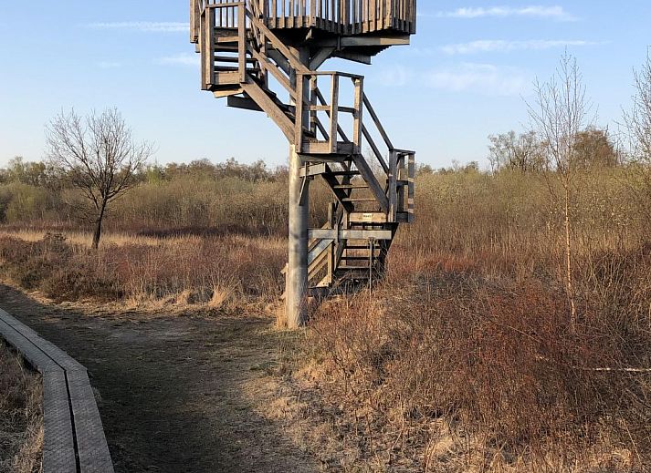 Unterkunft 290140 - Ferienhaus Achterhoek - Vakantiehuis Geräumiges Ferienhaus mitten im Wald