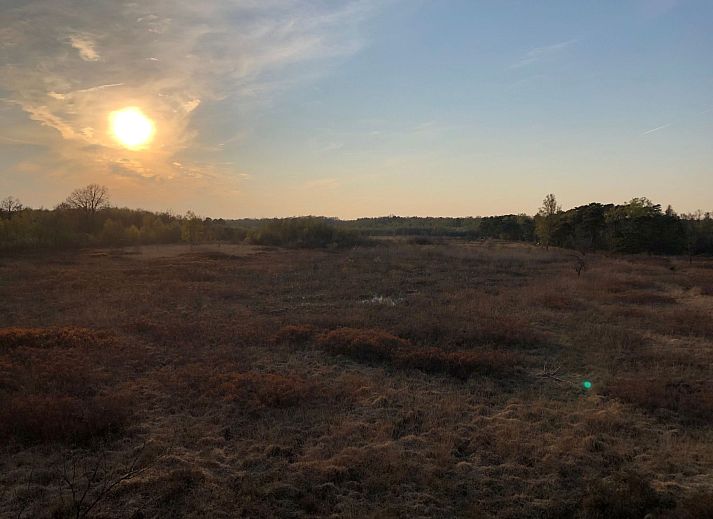 Unterkunft 290140 - Ferienhaus Achterhoek - Vakantiehuis Geräumiges Ferienhaus mitten im Wald