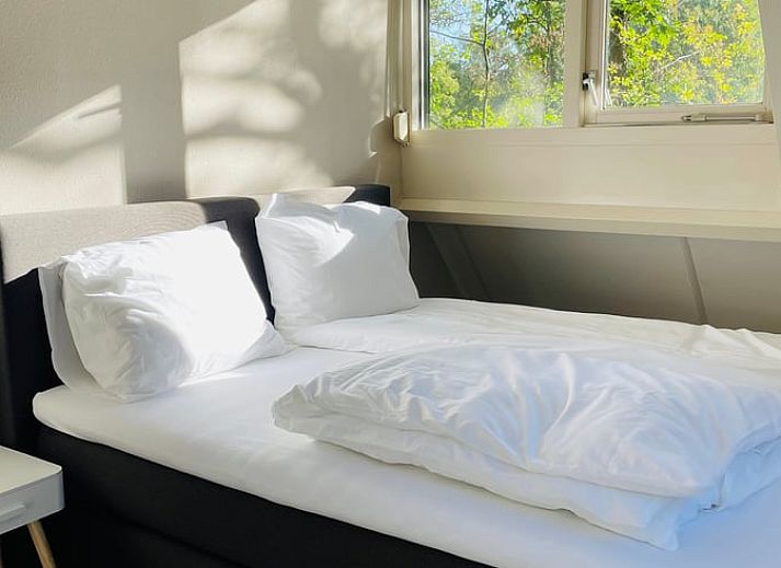 Charmant vakantiehuisje in Winterswijk, Achterhoek, omgeven door groene natuur.