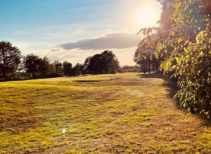 Charmant vakantiehuisje in Winterswijk, Achterhoek, omgeven door groene natuur.