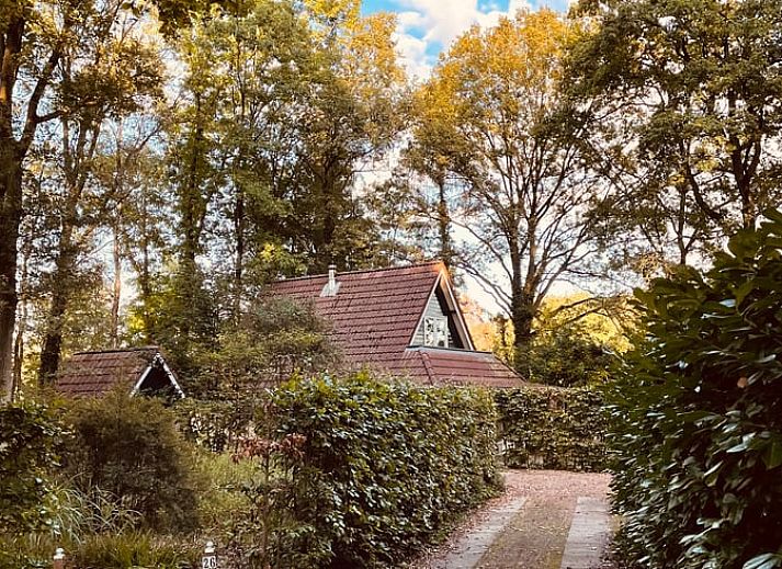 Charmant vakantiehuisje in Winterswijk, Achterhoek, omgeven door groene natuur.