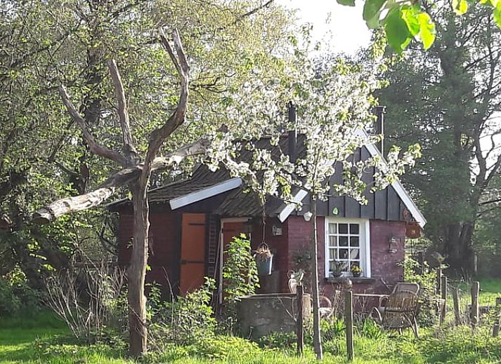 Verblijf 290149 • Vakantiewoning Achterhoek • Vakantiehuisje in Winterswijk