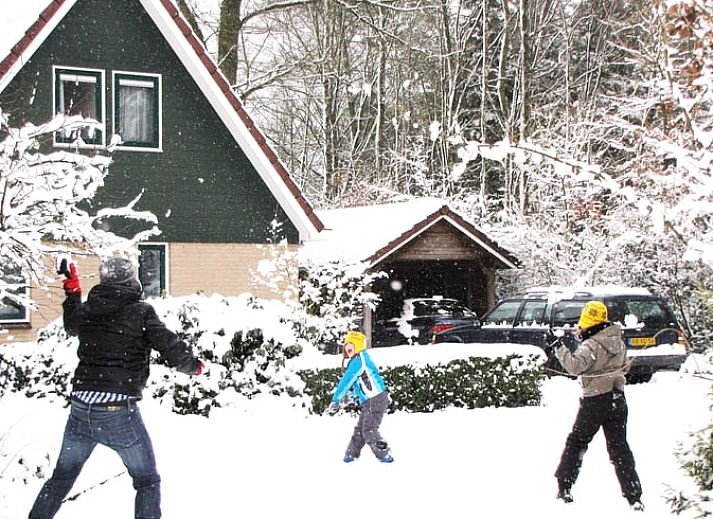 Verblijf 290197 - Vakantiewoning Achterhoek - Vakantiehuisje in Winterswijk