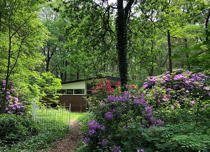 Verblijf 290203 • Vakantiewoning Achterhoek • Natuurhuisje in Barchem