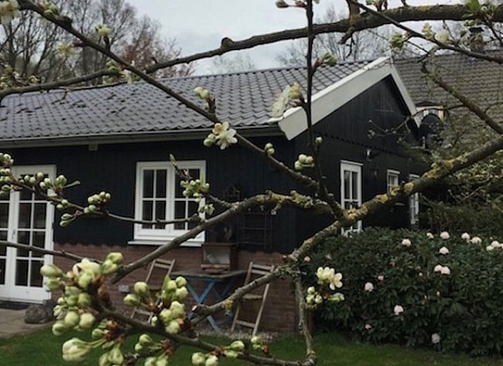 Verblijf 290207 • Vakantiewoning Achterhoek • Vakantiehuis in Barchem