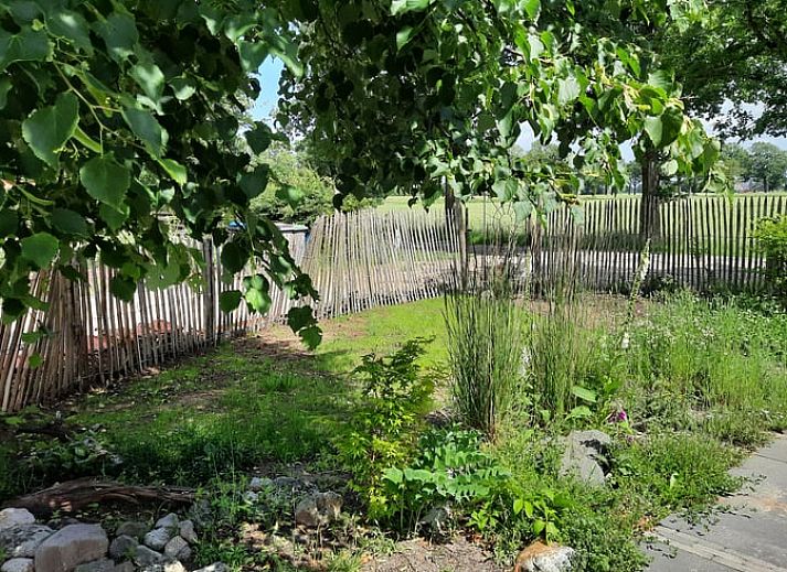 Guest house 290208 - Holiday property Achterhoek - Vakantiehuisje in Barchem