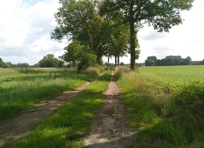 Guest house 290208 - Holiday property Achterhoek - Vakantiehuisje in Barchem