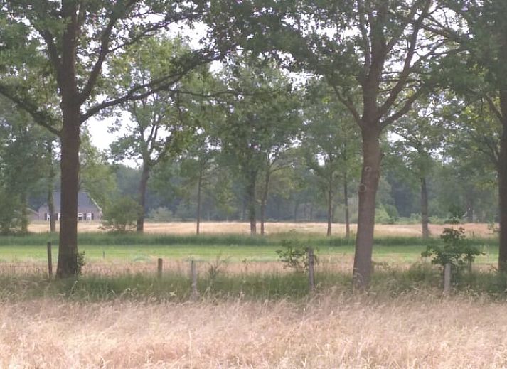 Guest house 290208 - Holiday property Achterhoek - Vakantiehuisje in Barchem