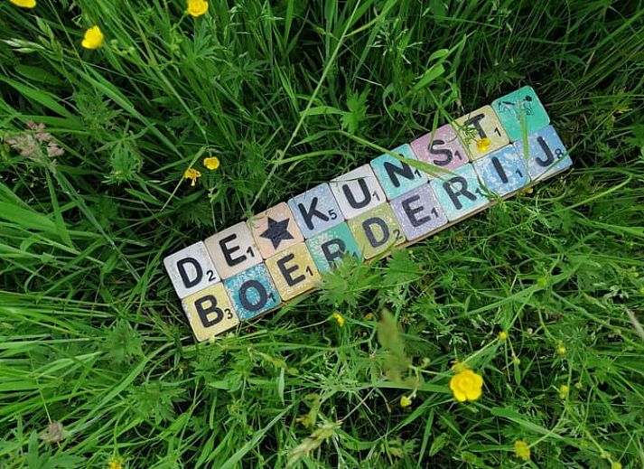 Guest house 290208 - Holiday property Achterhoek - Vakantiehuisje in Barchem