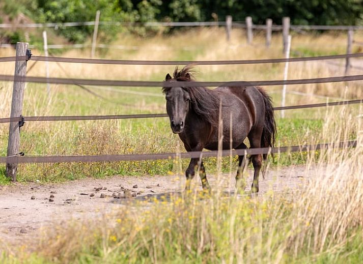 Guest house 290208 - Holiday property Achterhoek - Vakantiehuisje in Barchem
