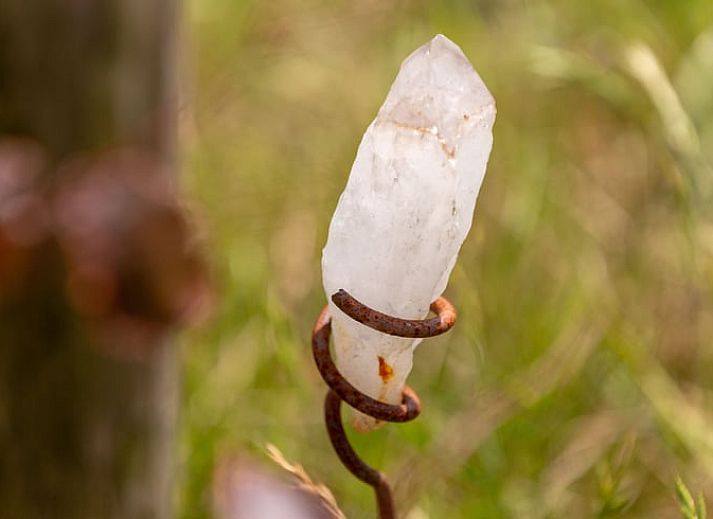 Guest house 290208 - Holiday property Achterhoek - Vakantiehuisje in Barchem